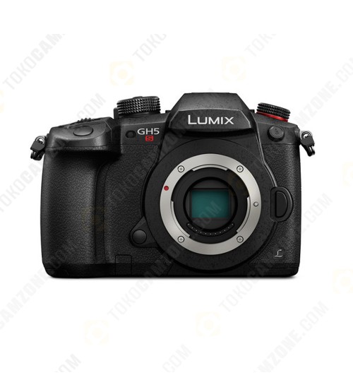 Panasonic Lumix DC-GH5S Body Only 